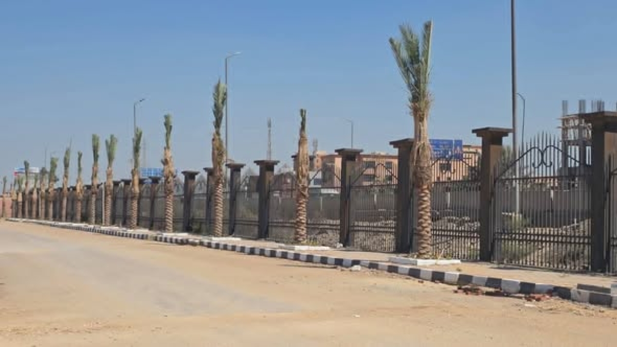 مبادرة ١٠٠ مليون شجرة تبدأ من الحرم الجامعي
